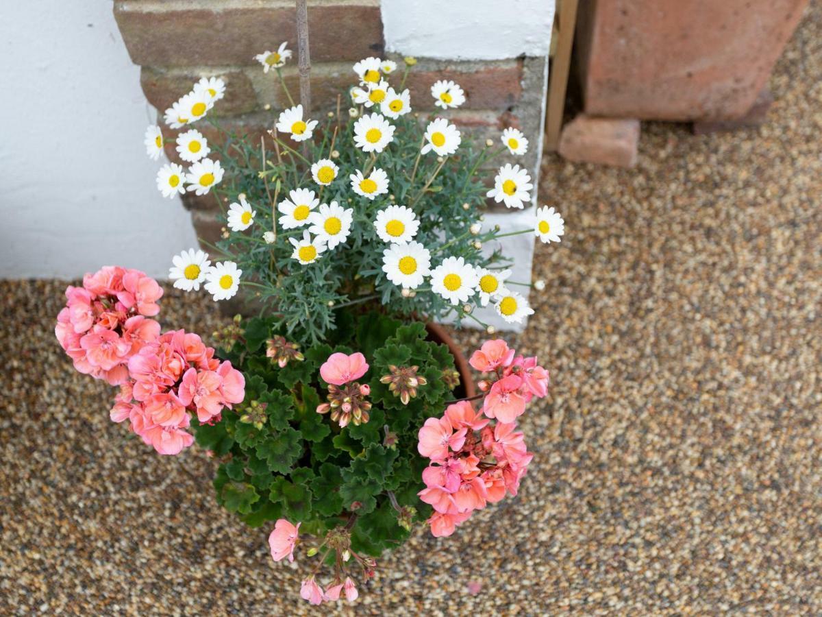 Little England Cottage Milborne Saint Andrew Bagian luar foto